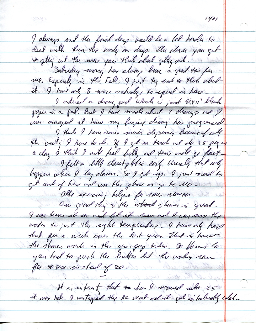 Dr John WorldPeace 2008 Prison Journal